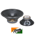 Real Audio RAS-200 12inch