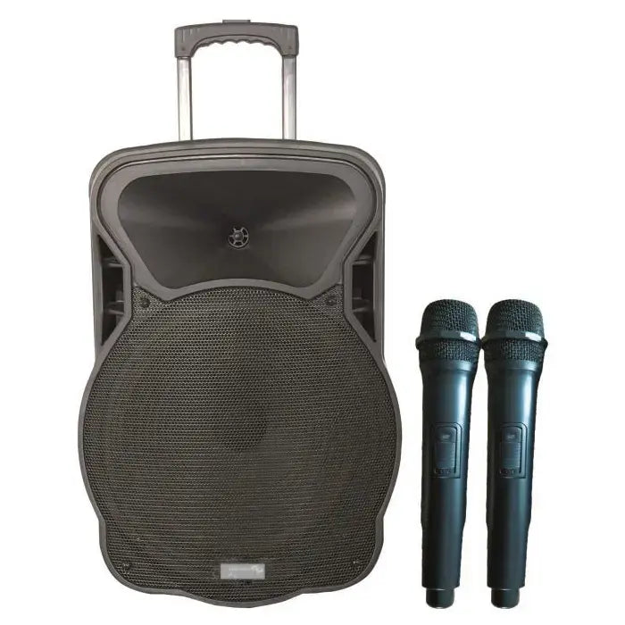 NX Audio TECHNO15i, 2 way Speaker , 15”, 80W